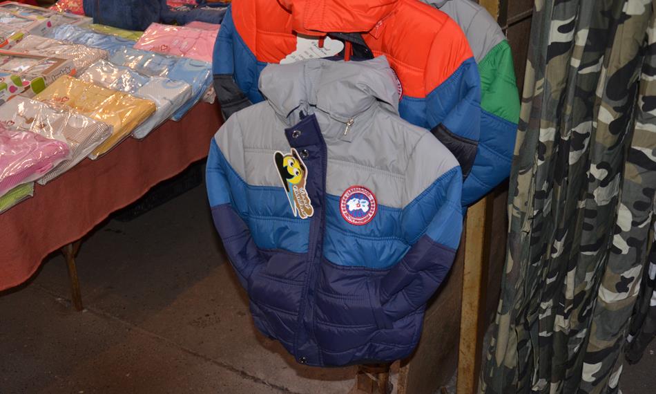 2014-11-20-137Canadian Goose 1.JPG